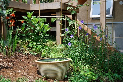 c0124100_14414757.jpg