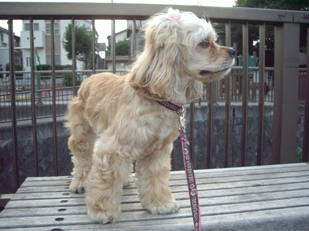 c0128303_23594772.gif