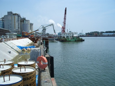 田子の浦港の役割と現状_f0141310_22531016.jpg