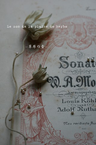 Le son de la plaine de herbe　～草原の音～_e0129517_19174011.jpg