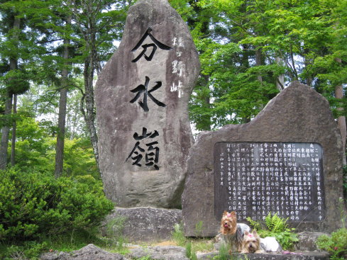 e0027619_037393.jpg