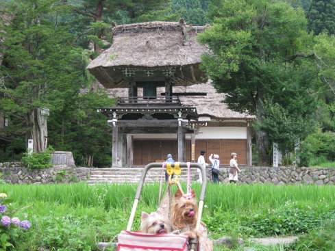 e0027619_172660.jpg