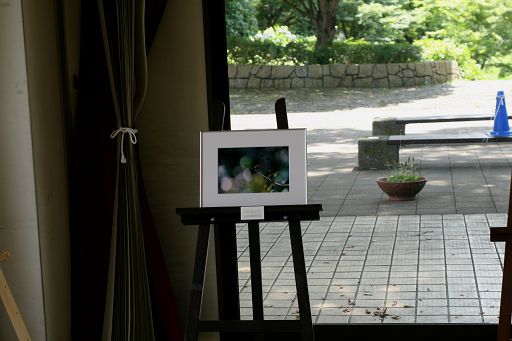 昭和記念公園のトンボ写真展_a0040021_22453429.jpg