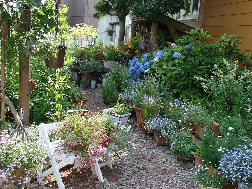 f0170524_1325338.jpg