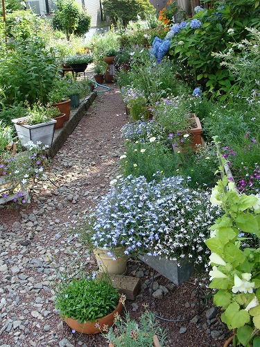f0170524_13425328.jpg