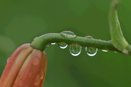 c0093046_7162896.gif
