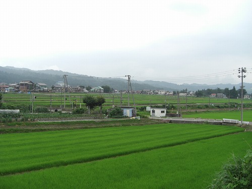五日町おったし川の夏_a0084753_929179.jpg