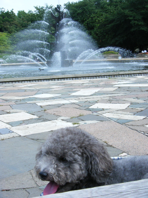 e0129656_2222450.jpg