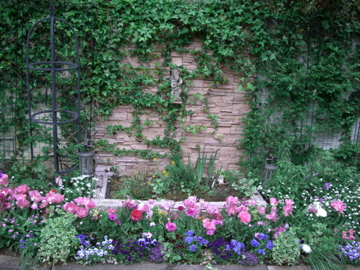 d0049381_13267.jpg