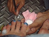 c0096685_11505125.jpg