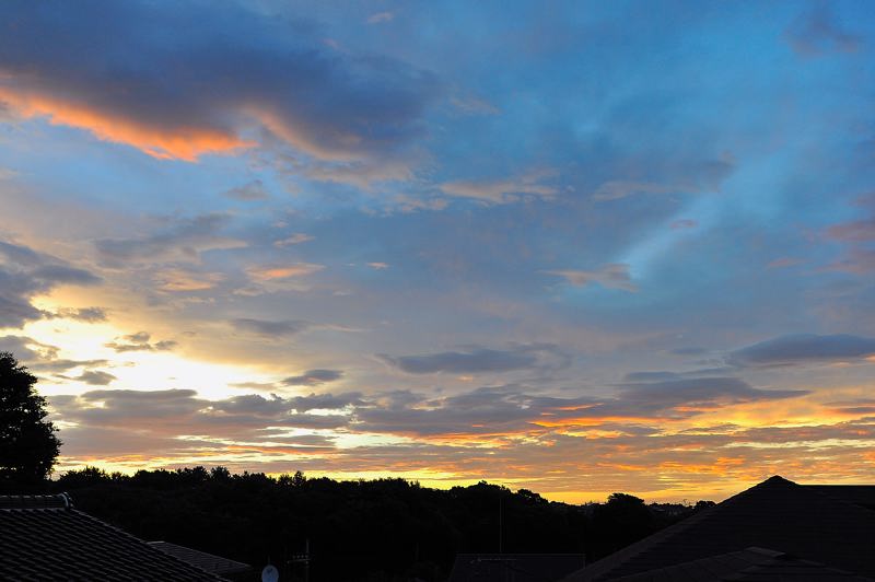 b0024798_21331769.jpg