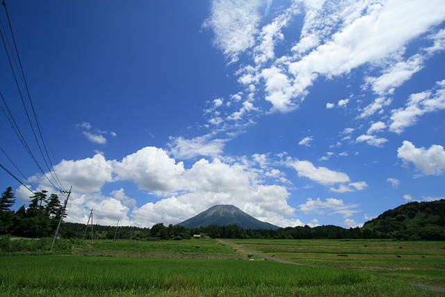 c0067303_2039663.jpg