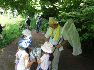 虫とあそぼう_b0049307_16455415.jpg