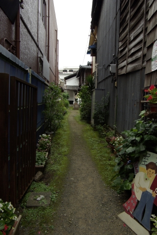 c0156908_2314553.jpg