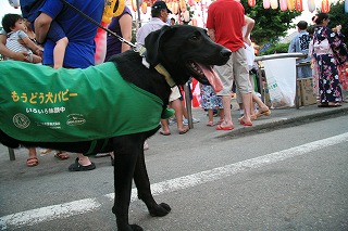 c0156510_20114539.jpg