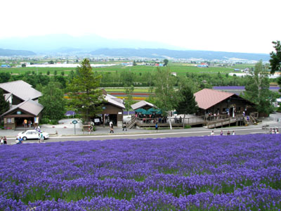 花を訪ねて2ー富良野_e0048413_14394541.jpg