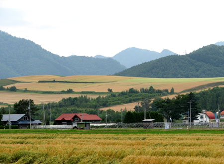 花を訪ねて3 大農園_e0048413_15201047.jpg