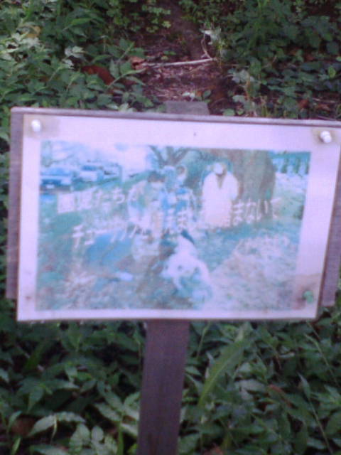 国立市の街づくり_e0094315_10431730.jpg