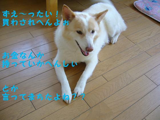b0138430_2384216.jpg