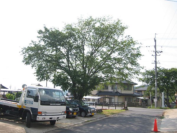 梅雨明け 夏本番!!_f0076731_16254787.jpg