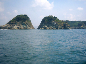 d0017632_11491155.jpg