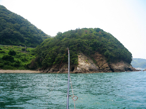 d0017632_1275671.jpg