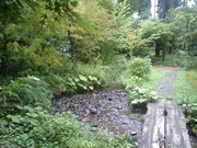 f0013738_91094.jpg