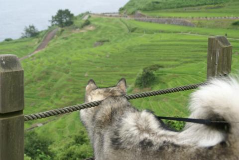 石川県の旅　4日目と5日目！そして6日目の巻_e0143442_14115968.jpg