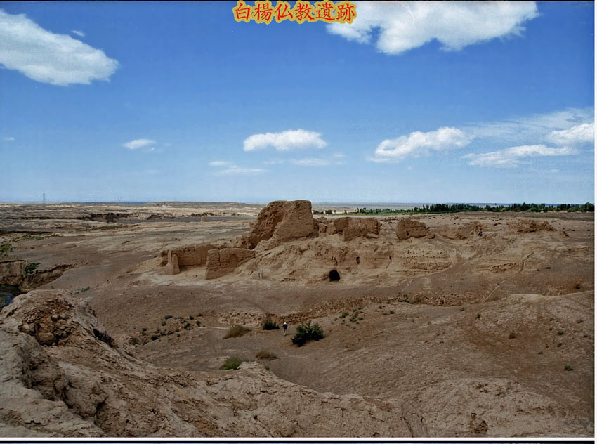 e0108650_2161435.jpg