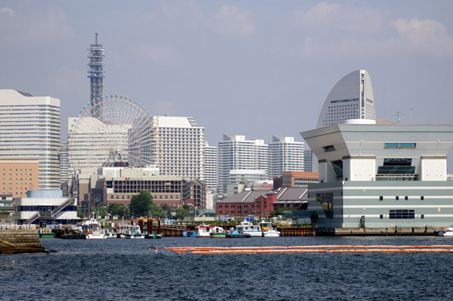 e0096955_1135624.jpg