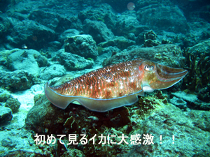 今日もお二人とラチャヤイ島へダイビング!_f0144385_19424934.jpg