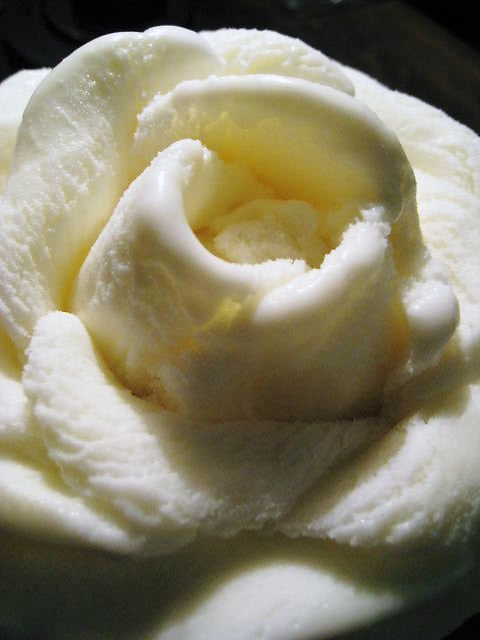 c0134893_19354348.jpg
