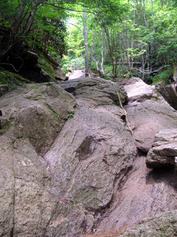 a0019601_2220912.jpg