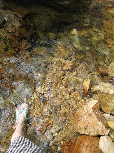 c0146301_9135030.jpg