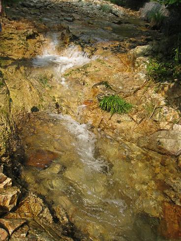 c0146301_9145127.jpg