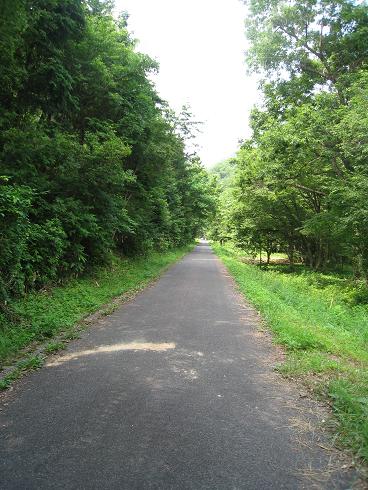 c0146301_9162216.jpg