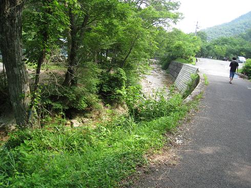 c0146301_9164429.jpg