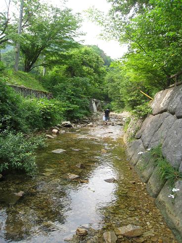c0146301_993156.jpg