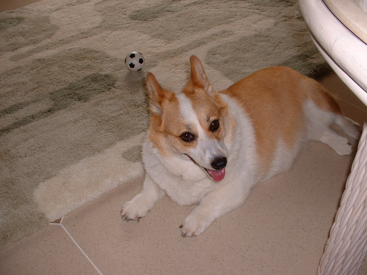 f0162101_2014414.jpg