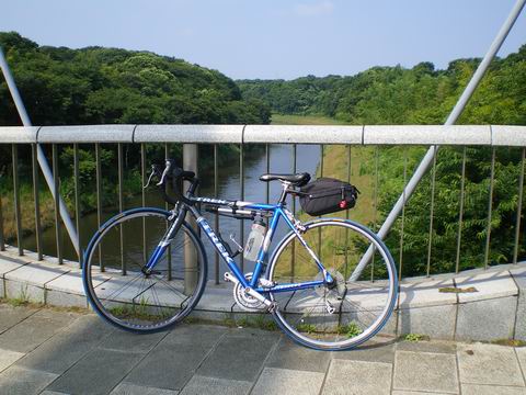 c0137507_127550.jpg
