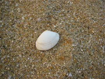 c0145209_21572371.jpg