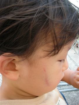 c0145209_22151639.jpg