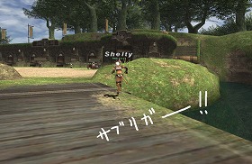 忍者とわたしと、サポ戦士_d0039216_2014184.jpg