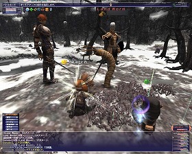 忍者とわたしと、サポ戦士_d0039216_20212739.jpg