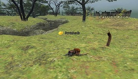 忍者とわたしと、サポ戦士_d0039216_2112537.jpg