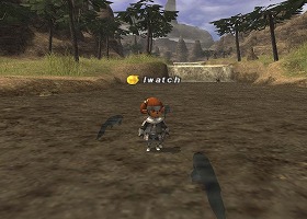 忍者とわたしと、サポ戦士_d0039216_2113685.jpg