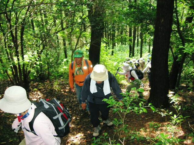 女鞍岳登山_d0109916_23415871.jpg