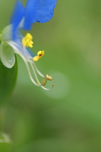 小雨の中で・・・_a0040522_13304885.jpg