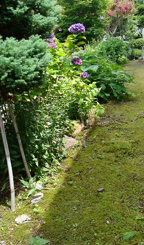 f0170524_1410774.jpg