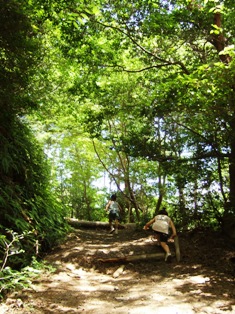 e0134125_15255840.jpg